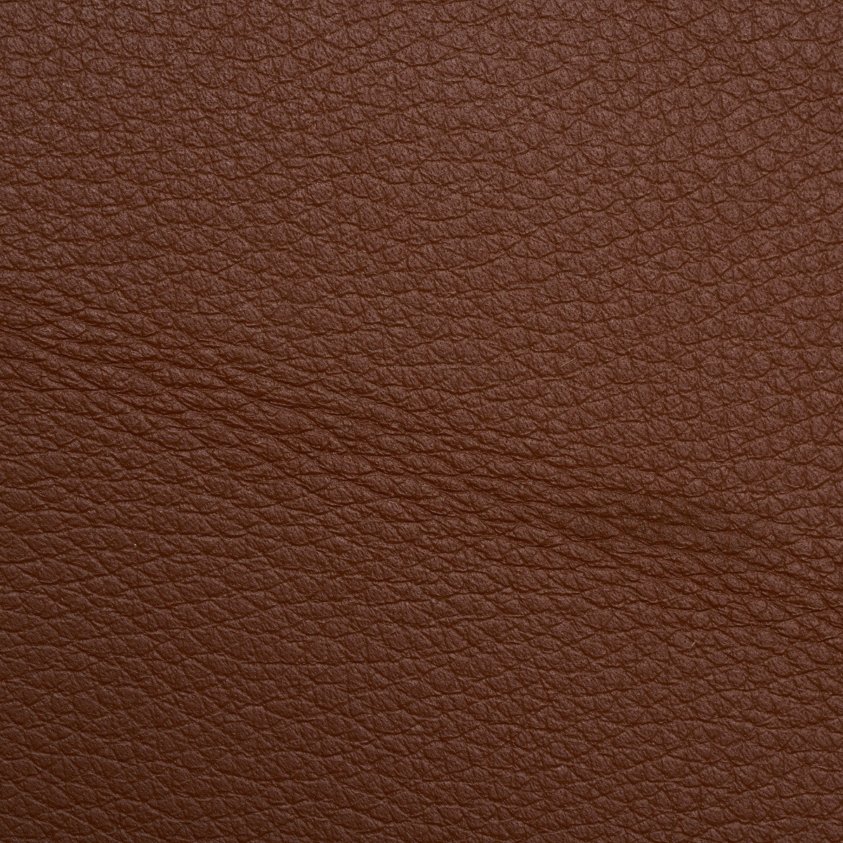 Cashmere Cuoio