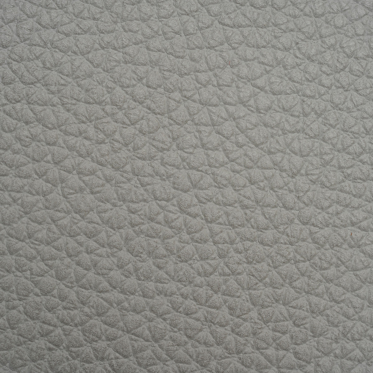 Asolo 7788