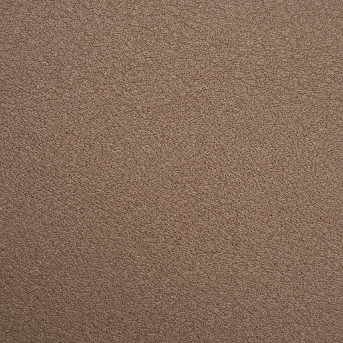 Cashmere Sabbia
