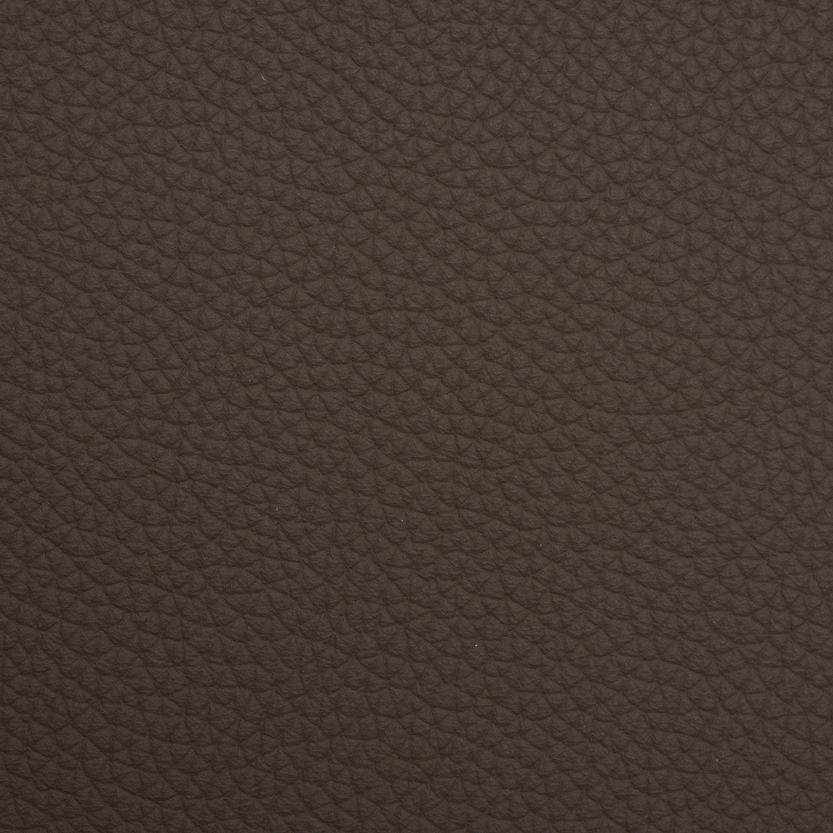 Panama 5504
