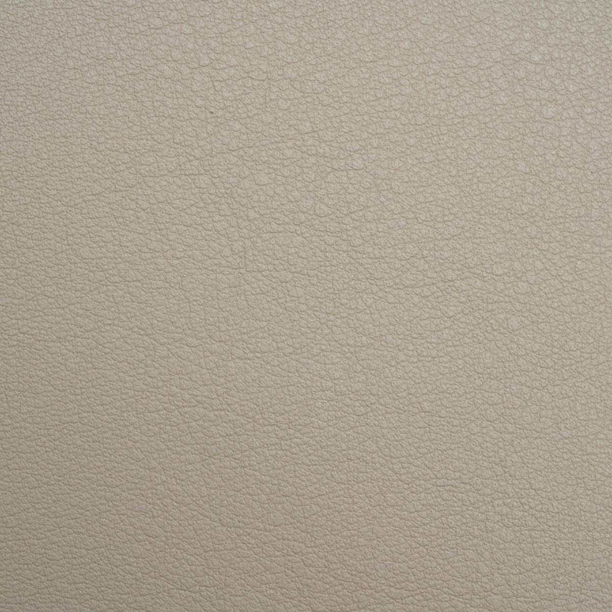 Doge Beige