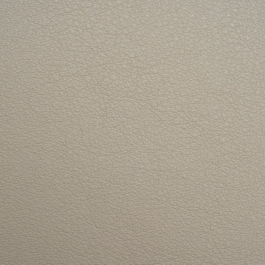 Doge Beige