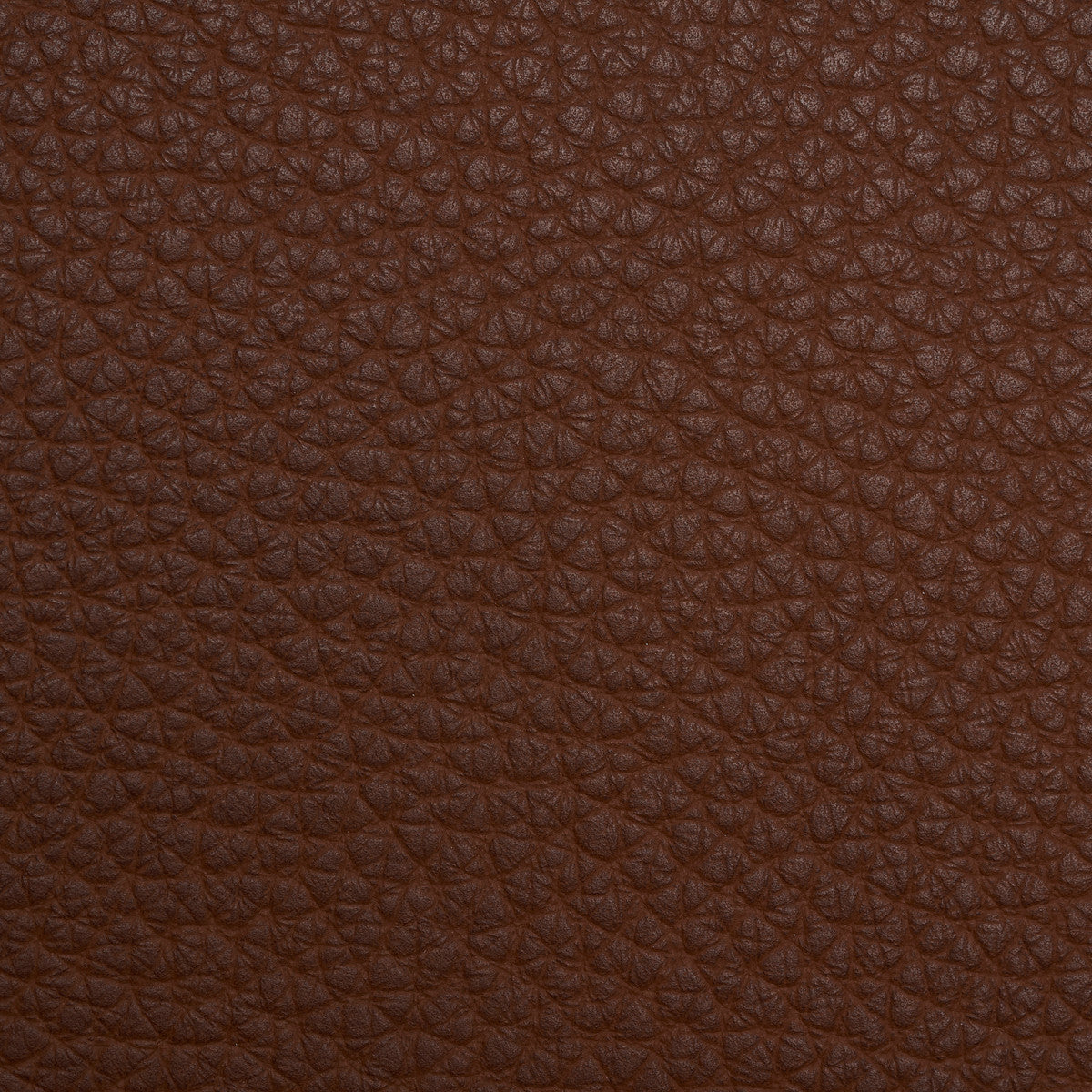 Asolo 7785