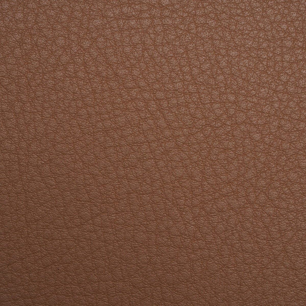 Cashmere Biscotto